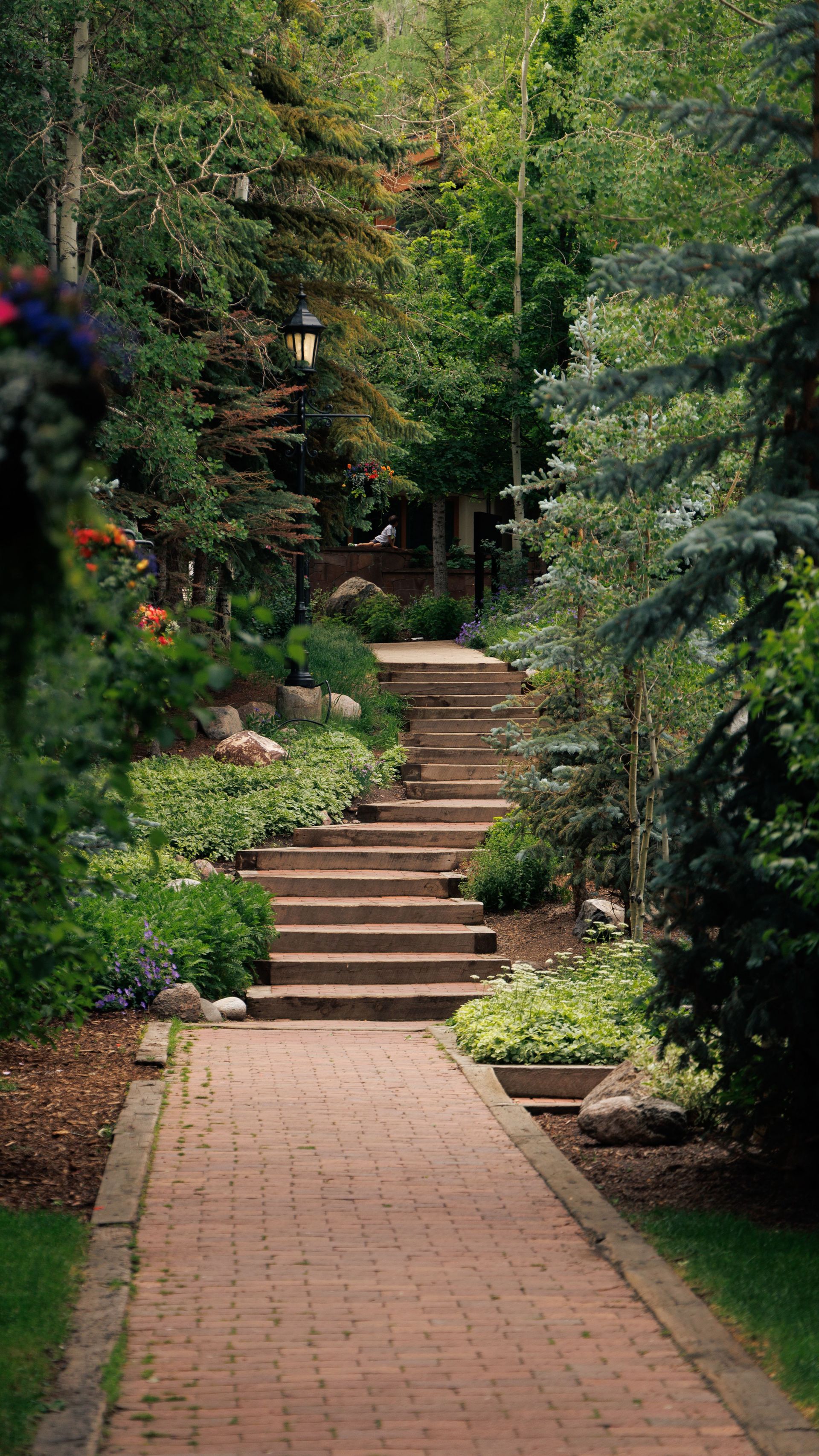 Serene brick pathway leading through a lush, green garden with vibrant flowers.