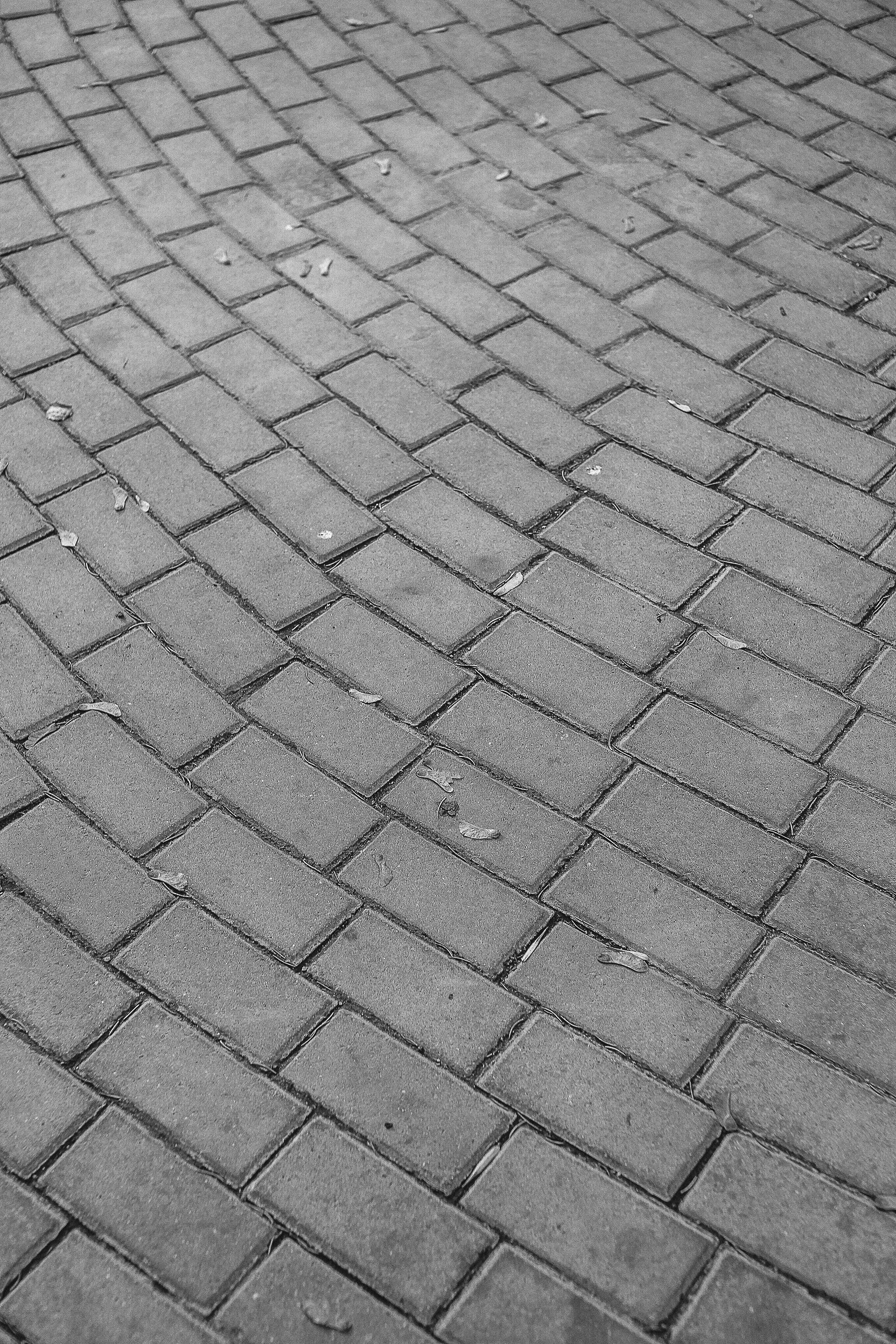 A detailed view of a classic brick pavement arranged in a wavy pattern, monochrome style.